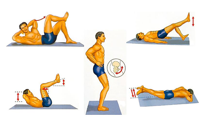exercises