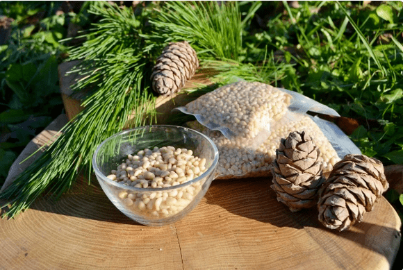 Cedar walnuts