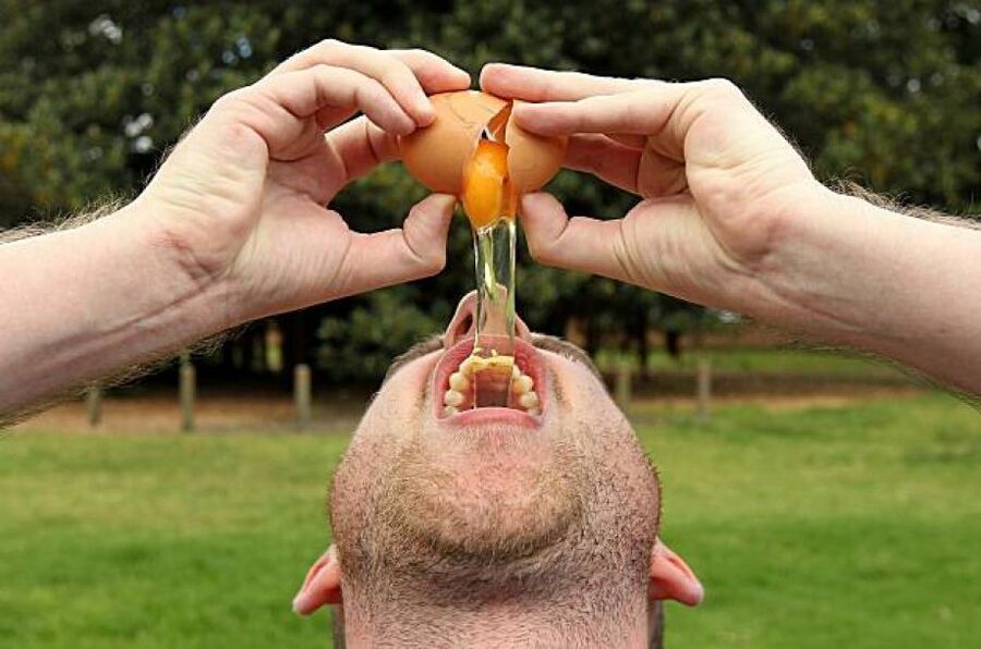 egg